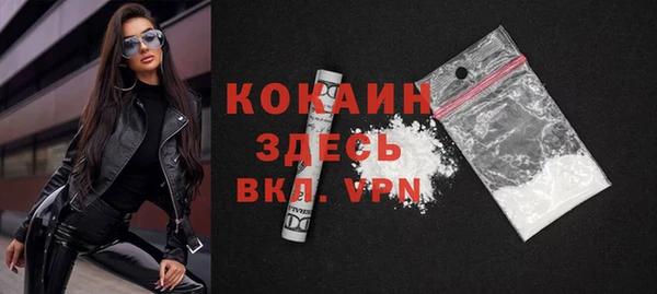 индика Майский