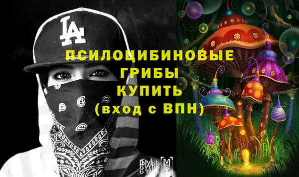 индика Майский