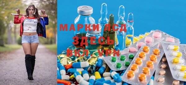 индика Майский
