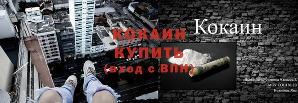 индика Майский