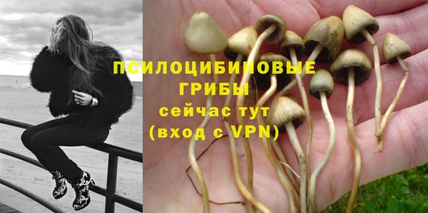 PSILOCYBIN Магадан