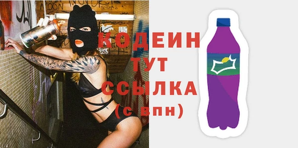 индика Майский