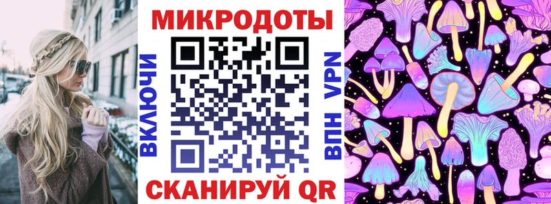 Псилоцибиновые грибы Psilocybe  Купить где  Поронайск 